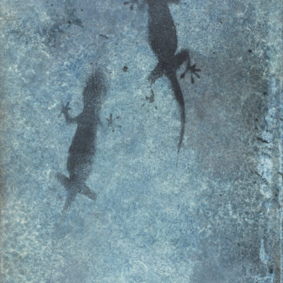 Gecko Photine Gecko Photine